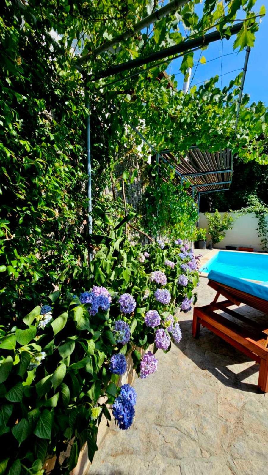 Lovely House With Swimming Pool Mostar Eksteriør billede